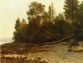 The Fallen Tree Albert Bierstadt woods forest